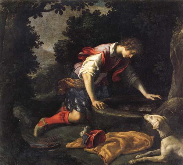 Francesco Curradi Narcissus at he Spring oil painting image
